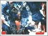 People and Culture of Aruba